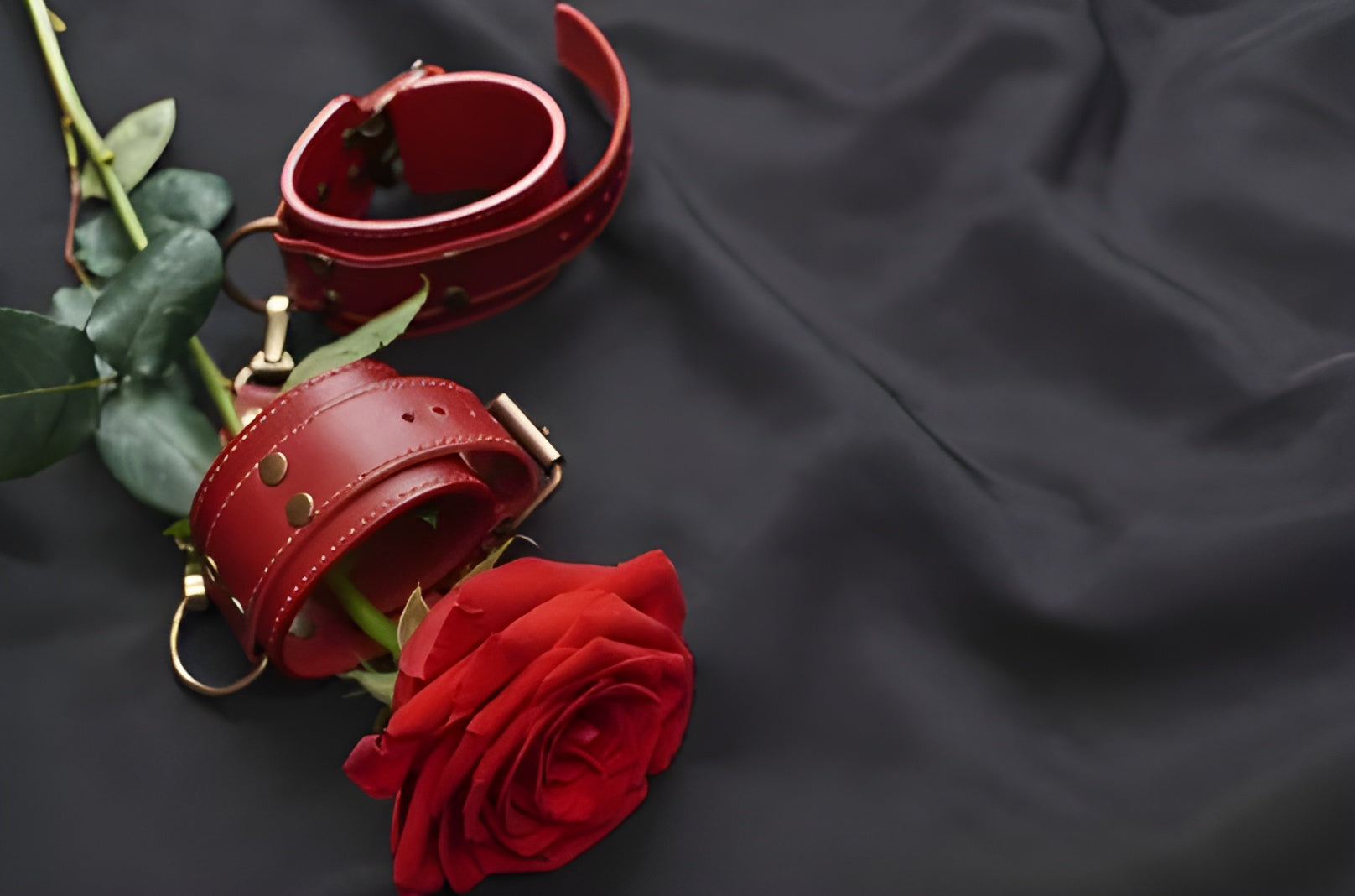 Petals of Pleasure: The Allure of Rose Sex Toys